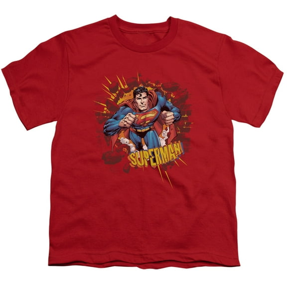 Superman - Sorry About The Wall - Youth Short Sleeve Shirt - Small