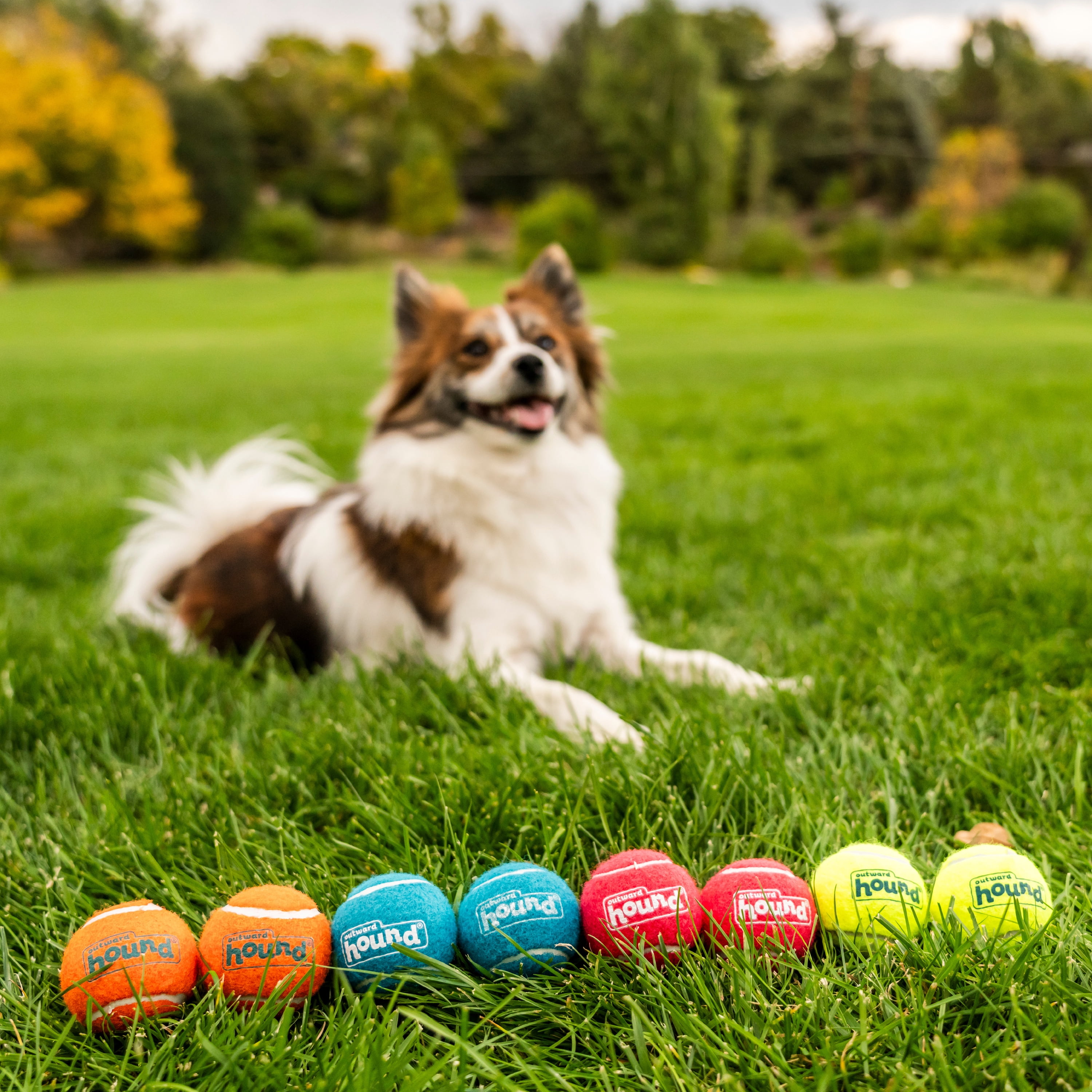 Outward Hound Squeaker Ballz – Squeaky Tennis Balls for Dogs Under 25 lbs, Interactive Dog Toy for Fetch & Training, Small (2"), 8‑Pack