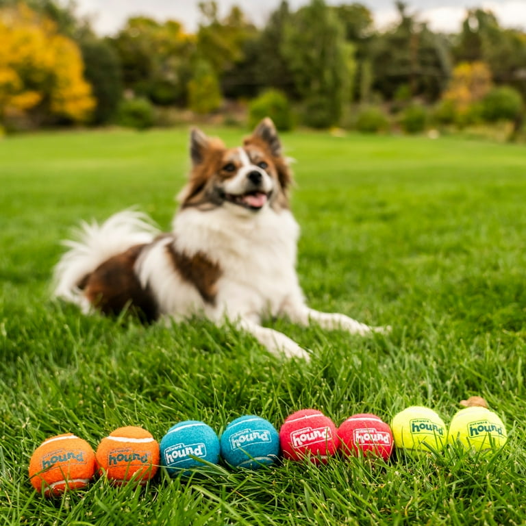 Outward Hound Squeaker Ballz Tennis Balls, Small, 8-Pack photo 5