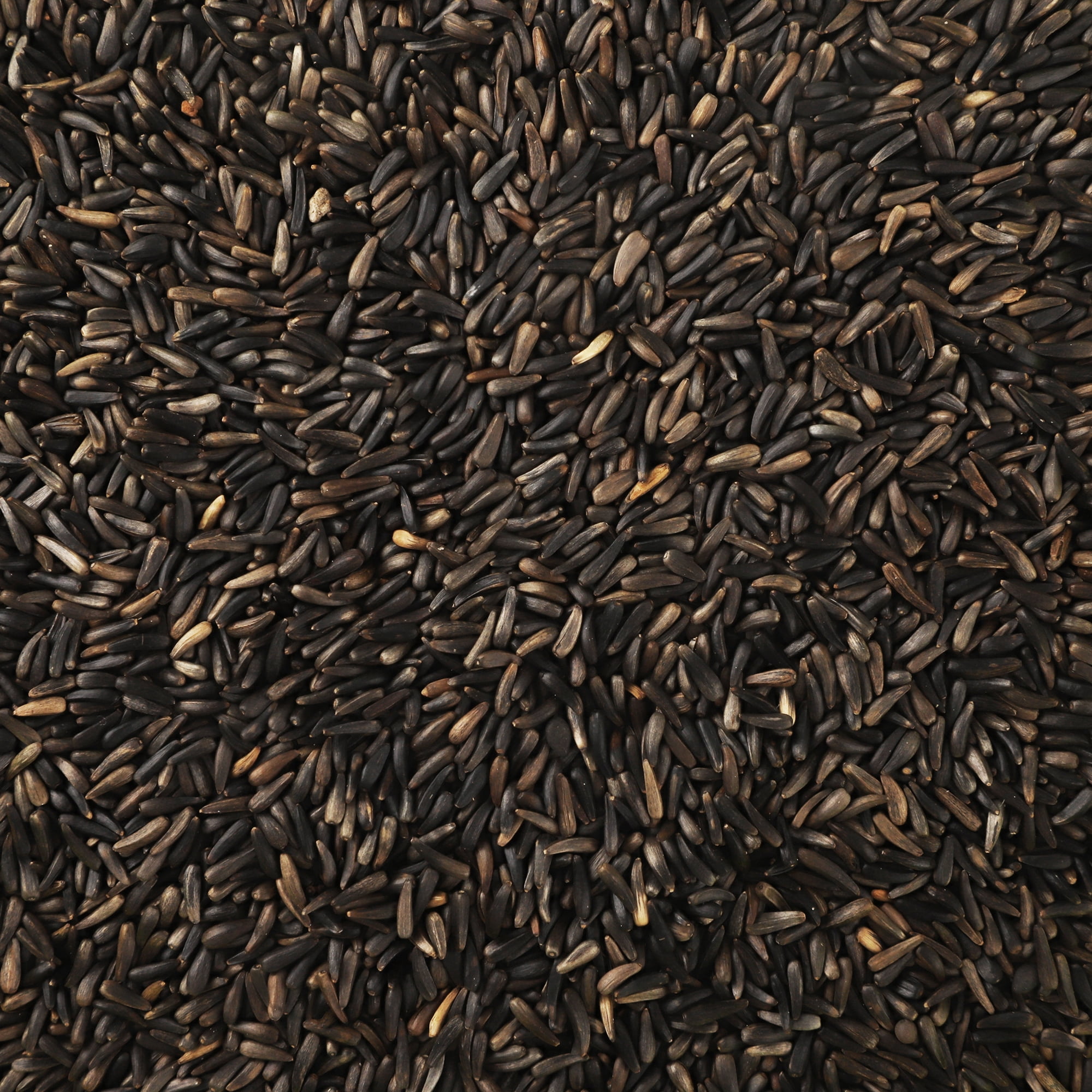 Happy Wings Thistle/Nyjer Seed, No Growth Wild Bird Feed and Seed, Dry, 10 lb. Bag