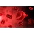 thumbnail image 2 of Microscopic view of red blood cells Poster Print, 2 of 2