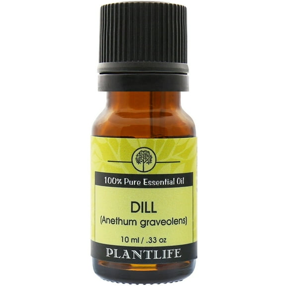 Plantlife Dill Aromatherapy Essential Oil - Straight From The Plant 100% Pure Therapeutic Grade - No Additives or Fillers - 10 ml