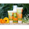 thumbnail image 4 of Omeo Calendula Foaming Face Wash With Neem & Aloe Vera 150ml, 4 of 5