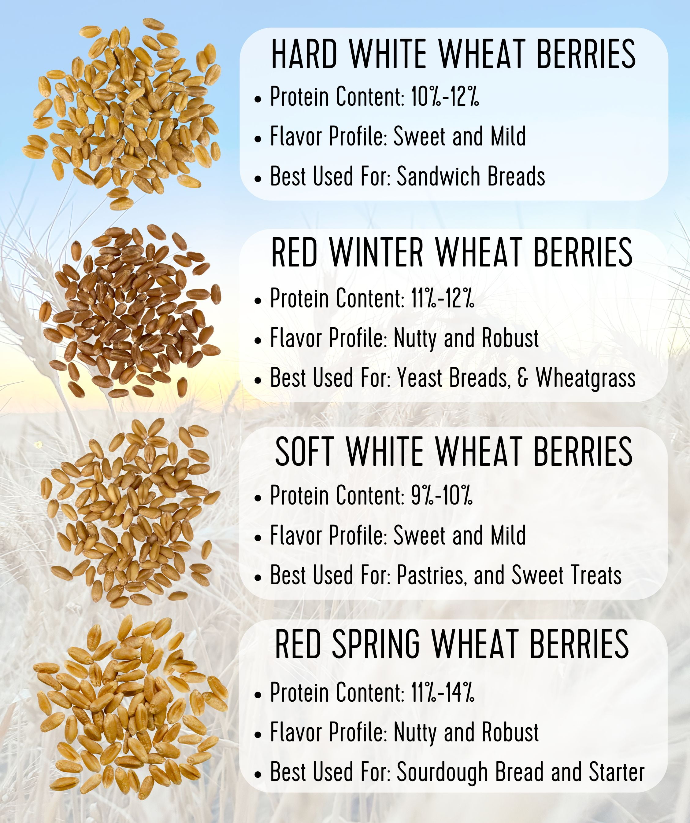 Certified Glyphosate Residue Free Hard Red Spring Wheat Berries | 25 LBS | Emergency Food Storage Bucket | Non-GMO | Grown on Our Family Farm | Bulk