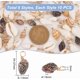 thumbnail image 2 of Colgantes de concha, conchas marinas en espiral, dijes artesanales, colgante de conchas marinas cauri, dijes de conchas naturales, caracolas con asa de bucle, 2 of 9