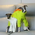 thumbnail image 5 of HQREA Italian Greyhound Onesie Clothes Whippet Dog Dinosaur Costume Pajamas for Large Dogs, 5 of 6