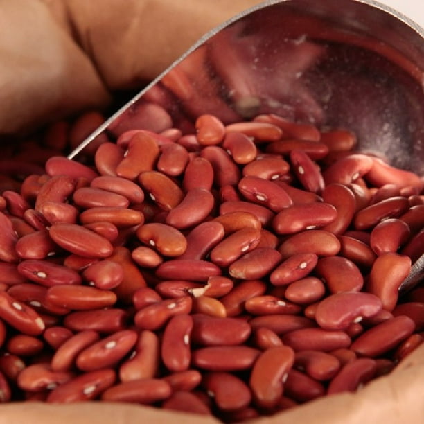 Bean Seeds Light Red Kidney 1/4 Pound, Vegetable Seeds