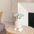 thumbnail image 1 of Hbdhejl Day Simulation Carnation Home Decoration Vase Flower Arrangement, 1 of 9