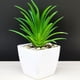 thumbnail image 3 of Simulación de suculentas Naiovety mini maceta para bonsai decoración tipo 2, 3 of 6
