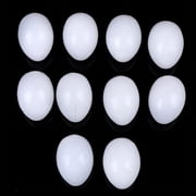 10Pcs White Solid Plastic Solid Pigeon Eggs Dummy Fake Eggs Hatching Supplies