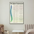 thumbnail image 6 of The Spine Frequencies Poster Science Education Canvas Wall Art Aesthetic Decorative Painting Living Room, 6 of 7