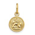 thumbnail image 1 of 13 x 16 mm 14K Yellow Gold Small Polished Angel Charm, 1 of 1