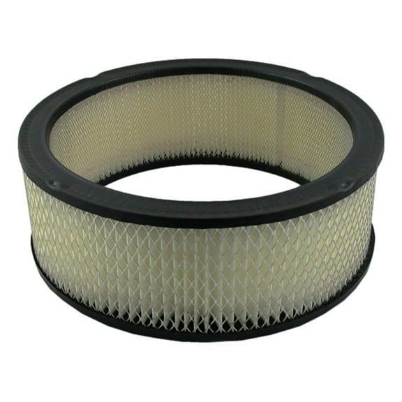 Pentius PAB192 Pentius Filter Fits select: 1988-1995 CHEVROLET GMT-400, 1966-1973 CHEVROLET C10