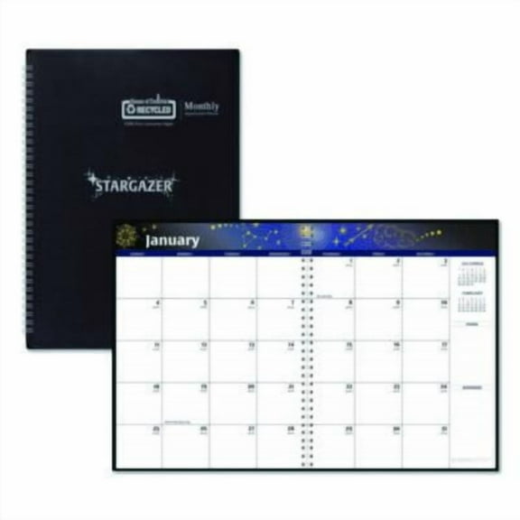 11 in. x 7 in. 13-Month (Dec-Dec 2026) Recycled Stargazer Monthly Planner - Black Cover