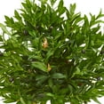 thumbnail image 2 of Nearly Natural 38" Olive Artificial Topiary in Planter UV Resistant, 2 of 3
