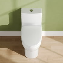 Ally 12 in. Rough in Size 1-Piece 1.1/1.6 GPF Dual Flush Elongated ADA Chair Height Toilet in White, Seat Included