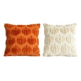 thumbnail image 2 of Fall Pillow Covers Pumpkin Fall Decor 18x18 Orange | Fall Decorations for Home, Plush Faux Fur Farmhouse Accent Pillowcases, Porch Sofa Couch Cushion Bed Livingroom 2PC, 2 of 6
