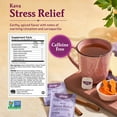 thumbnail image 4 of Yogi Tea Stress Relief & Herbal Tea Variety Pack - 16 Tea Bags per Pack (6 Packs) - Organic Herbal Tea Sampler - Includes Bedtime Tea, Kava Stress Relief Tea, Soothing Caramel Bedtime Tea & More, 4 of 8