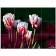 thumbnail image 1 of Flowers Ceramic Tile Mural Kitchen Backsplash Bathroom Shower 402576-XL43, 1 of 3