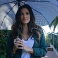 thumbnail image 3 of Dry Divas Windproof Umbrella Auto Open Close Parasols Travel Umbrella (Multi Color), 3 of 4