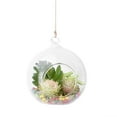 thumbnail image 2 of YIEMEEN Hanging Glass Terrarium Globe Tealight Candle Holder Home Succulents Vase Hanger, 2 of 16