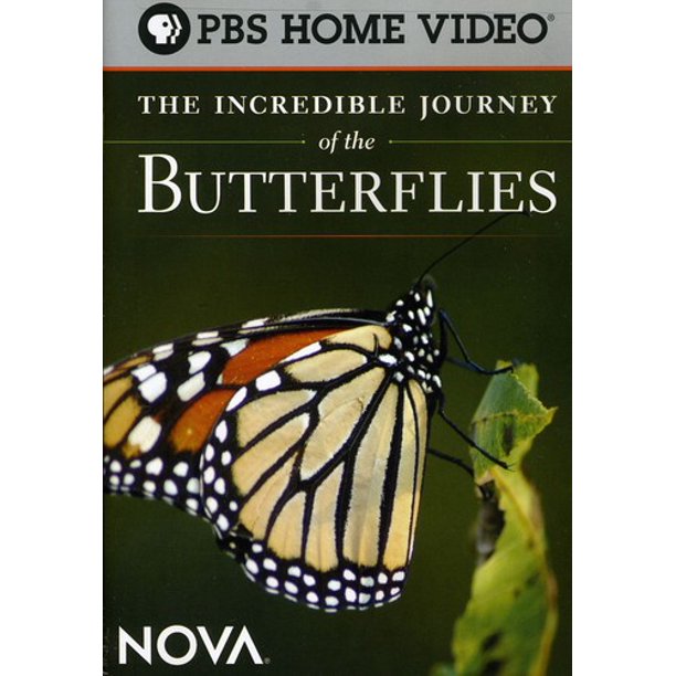 The Incredible Journey of the Butterflies (DVD)
