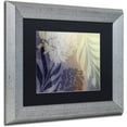 thumbnail image 2 of Trademark Fine Art "Garden Waltz II" Canvas Art by Color Bakery Black Matte, Silver Frame, 2 of 4