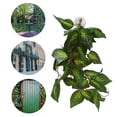 thumbnail image 4 of Simulation Rattan Landscaping, Variety Of Models Climbing Pet Box Green Vine Landscaping  For Aquariums For Daily For Reptile Boxes For Fish Tanks NFF-86 Variegated Leaf, 4 of 8