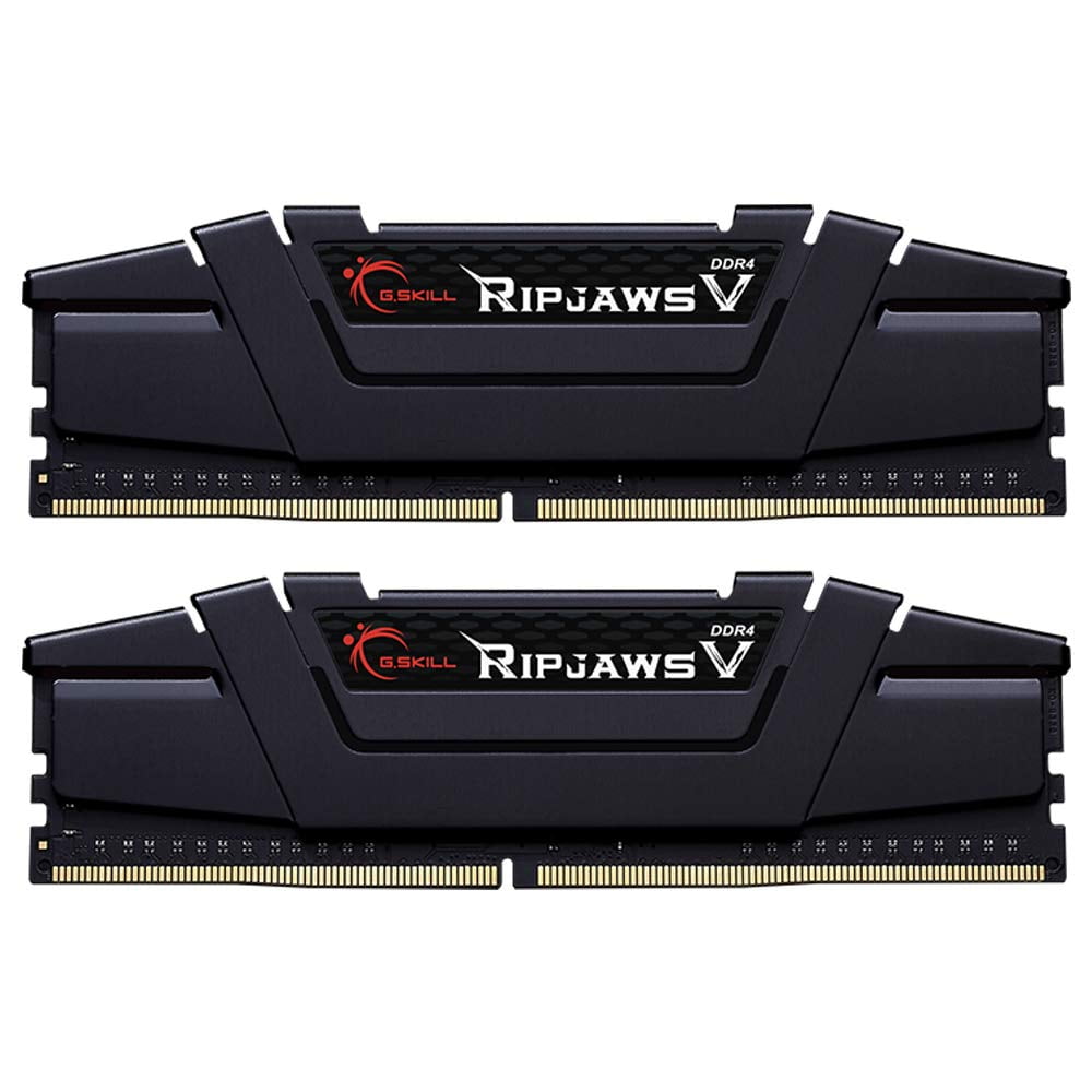 G.Skill F4-3200C16S-16GVK 16GB Ripjaws V メモリーモジュール メモリモジュール ブラック Ripjaws V Series 16GB 288-Pin PC RAM DDR4 3200 (PC4 25600) Desktop  Memory Model F4-3200C16S-16GVK
