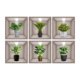 thumbnail image 1 of Teissuly Wall Stickers, Simulated Iron Mesh Green Luo Bedroom, Living Room, Entrance, Dormitory Home Decoration Teissuly WER202310061058, 1 of 8