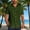 Army Green, variant on White Dress&nbsp;Shirts&nbsp;for Men Button Short Sleeve Collared Boho Tops Geometric Paisley Minimalist Button-up Shirts White,L