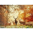 thumbnail image 2 of Stags 1000-Piece Puzzle, 2 of 2