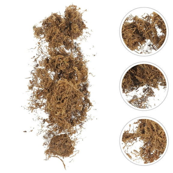 PTOOTP Artificial Brown Moss for Indoor Decoration, Plastic Greenery for Centerpieces and Craft Hobbyists