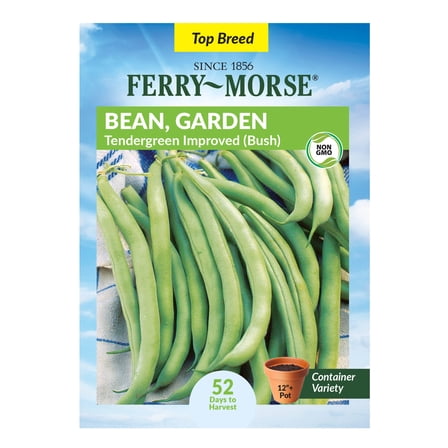 Ferry-Morse 12G Bean Tendergreen Improved Annual Vegetable Seeds, Full Sun