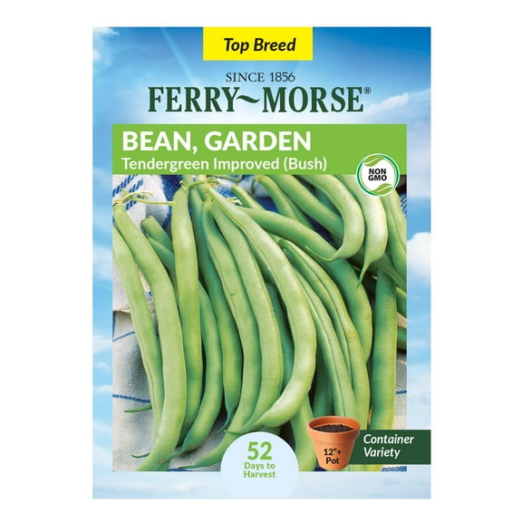 Ferry-Morse 12G Bean Tendergreen Improved Annual Vegetable Seeds, Full Sun
