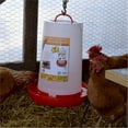 thumbnail image 3 of Farm Innovators HPF-100 Heated 3 Gal Hanging Poultry Water Fountain, Red, 3 of 6