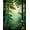 Green, Pattern 2, variant on ODIKA 4'x6' Machine Washable Non-Slip Area Rug, Nature Embrace Vivid Woodland High Traffic Rug, Green, 86401