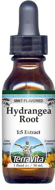 TerraVita Hydrangea Root Glycerite Liquid Extract (1:5) - Mint Flavored, (Mint, 1 oz, 2-Pack, Zin: 522606)