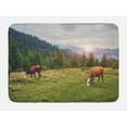 thumbnail image 1 of Farm Animal Bath Mat, Nature Landscape with Cows Grazing in Meadow at Sunrise Photo, Plush Bathroom Decor Mat with Non Slip Backing, 29.5" X 17.5", Multicolor, by Ambesonne, 1 of 2