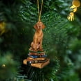 thumbnail image 4 of Lilgiuy Dog Ornaments for Christmas Tree, Dog Christmas Oornaments, Acrylic Books Stacked Ornament, Christmas Hanging Ornament Dog Pet, Christmas Ornaments for Indoor and Outdoor Decoration, 4 of 5