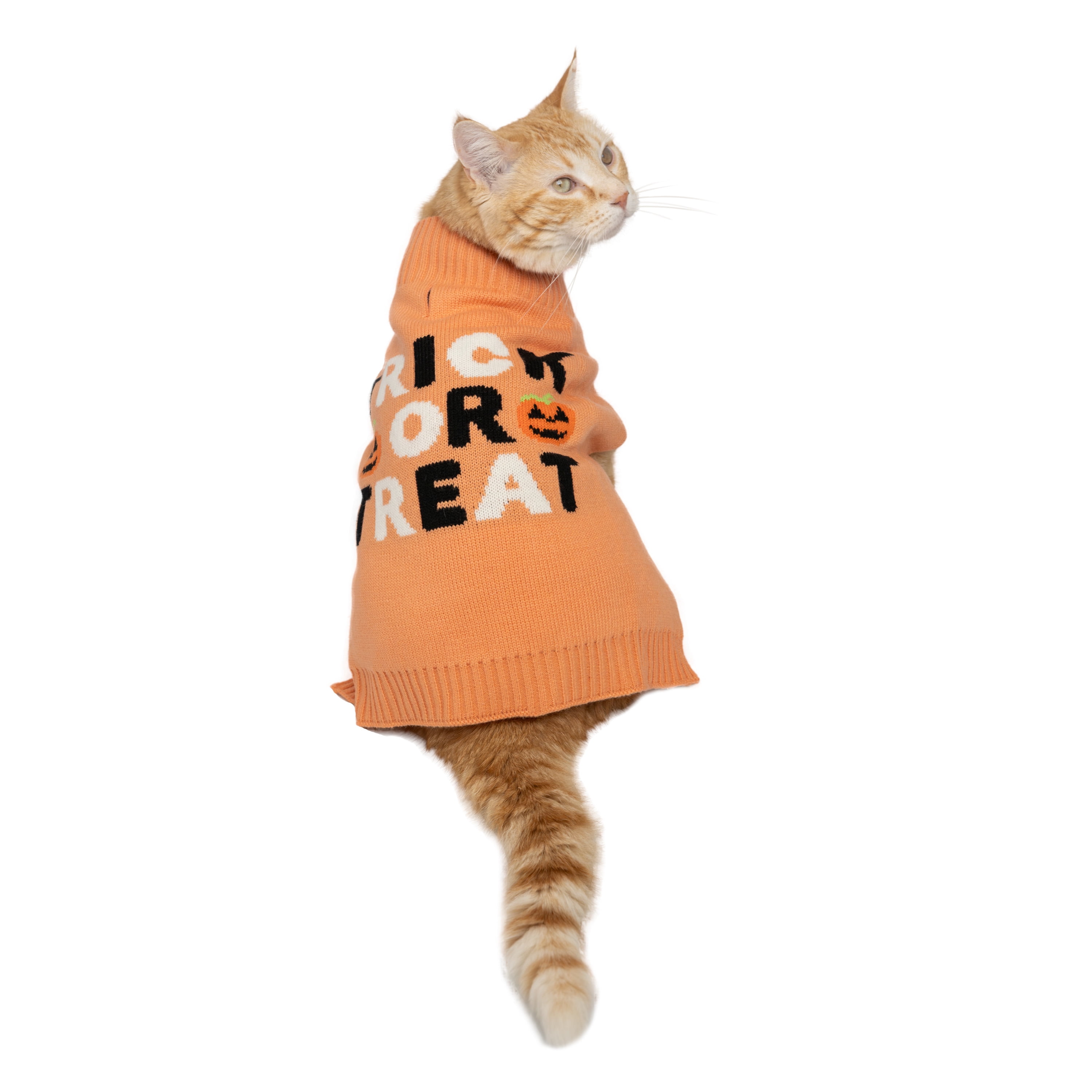 Vibrant Life, Dog and Cat Clothes, Trick or Treat Halloween Pet Sweater, Orange, Size Small