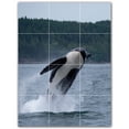 thumbnail image 1 of Picture-Tiles.com: Whale Ceramic Tile Wall Mural WAL501189-34XL. 36"W x 48"H using (12) 12" x 12" Ceramic Tiles-Satin Finish, 1 of 3