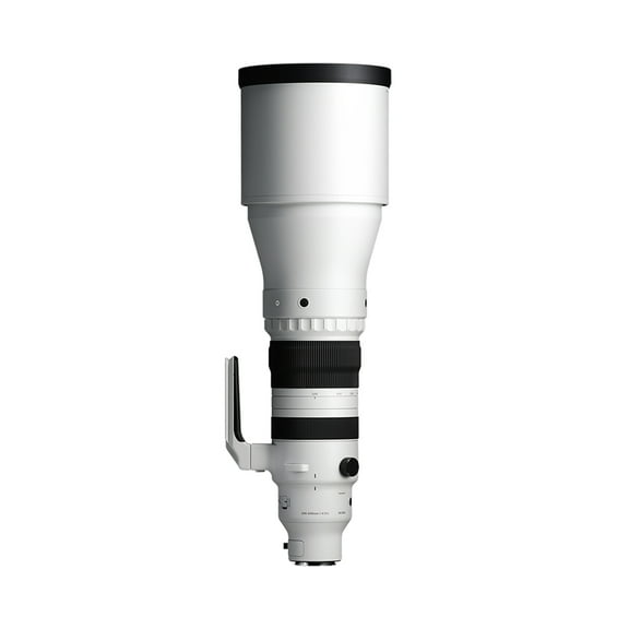 Sigma 300-600mm f/4 DG OS Sports Lens (L-Mount)
