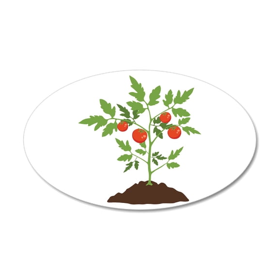 CafePress - Tomato Plant Wall Decal - 35x21 Oval Wall Decal