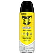 Raid Defense System Indoor and Outdoor Ants, Roaches, Spiders and Flies Insect Killer Bug Spray, 15 oz
