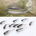 thumbnail image 4 of Carnada de pez Irfora 10PCS 8cm Vivid Natural Grey Fake Fish Lure Bait Pequeño Bass Catfish Lure Fish Bait Irfora Carnada de pez, 4 of 7