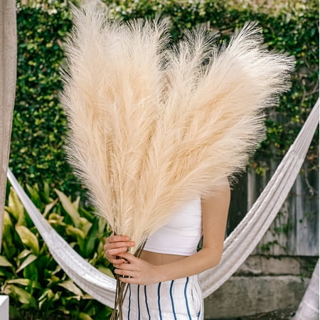 pampas stems mumblr