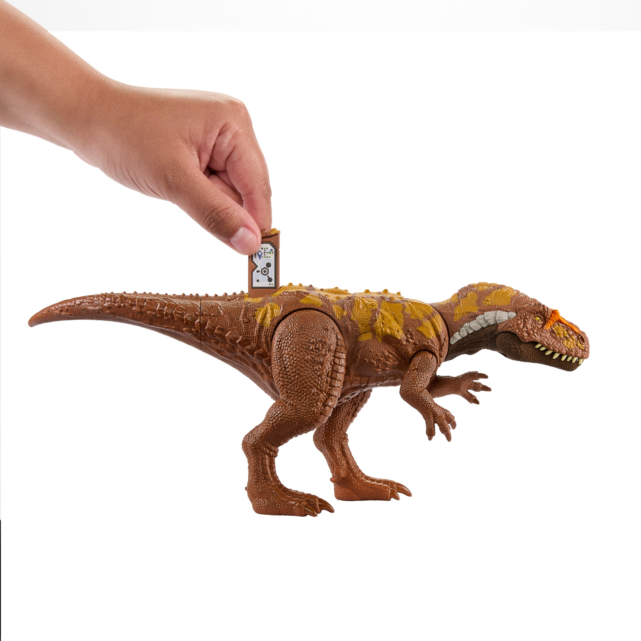 Jurassic World Wild Roar Dinosaur, Megalosaurus Action Figure Toy with Sound