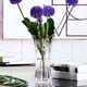 thumbnail image 5 of Florero de Cristal Transparente Florero de Mesa Centro de Mesa para El Hogar, Jardín, Cafetería Decoración Decoración , Soledad Florero de escritorio transparente, 5 of 9