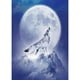 thumbnail image 1 of Taladro Pintura Diamante (DE2933) 5D DIY Novedad Completa Lobo Punto de Cruz Bordado Kit 20X30cm FLhrweasw Nuevo, 1 of 1